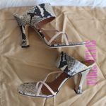 Paris Texas Python Snake Photo 3