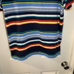 Jason Maxwell  Blue Multicolor Striped Short Sleeve Tee 1X Photo 5
