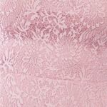 Trac Floral Lace Strapless Fit & Flare Mini Dress in Mauve Photo 1