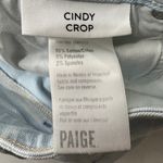 Paige Cindy Straight Crop Jeans in Kokomo Live Hem Size 29 Photo 8