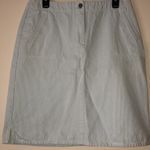 Christopher & Banks Women’s blue and white striped canvas skirt size 10 cotton Photo 0