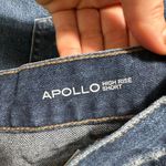 DL1961  Apollo High Rise Denim Short Size 27 Photo 6
