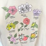 Disney  Princess Beige Floral Graphic Sweatshirt MEDIUM Photo 1