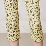 Anthropologie Cartonnier Retro Crops Capris Pants Floral Print Yellow Size 10 Photo 0