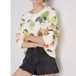 Anthropologie Back When by  Fruit Medley Multicolor Sweatshirt Size S Small EUC!! Photo 0