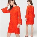 J.Crew  Bell-sleeve Dress Embroidered Eyelet in Brillant Sunset, Size 00, NWT Photo 1