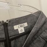 Cato FINAL MARKDOWN Ladies  skirt 10 Photo 2