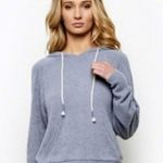 Young Fabulous and Broke  Terry Fleece Chenille Hoodie Sweatshirt. Size Large. Photo 0