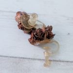 Vintage Screw Back Earrings Brown Natural Vibes Boho Photo 11