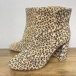 Gianni Bini Leopard  Booties Photo 0