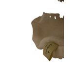 Kate Spade Never Full Bag Photo 5