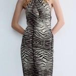 ZARA  Dress maxi halter mesh bodycon zebra animal print  evening date party   Photo 6