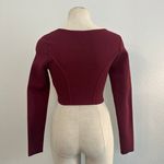 Aritzia Sculpt Knit Bustier Longsleeve 472 Photo 1