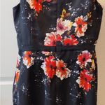 Cb Established 1962 multicolor Floral Sleeveless Stretch Knit Dress 16 Photo 1