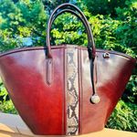 Brahmin  Mira Espresso Layton Leather Shoulder Bag Snake Trim NWT Photo 3