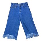 ZARA Cropped Wide Leg Jean Size 4 Excellent Condition Photo 1