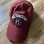 Champion White Water Wild Cats  Hat Photo 0