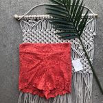 Free People New  Lace Shorts Size 2 Photo 0