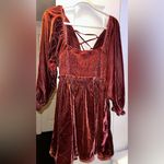 Free People NWOT  Daphne velvet mini dress in wine $128 MSRP  Photo 5