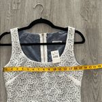 Velvet Torch  Black and White Patterned Mini Dress Photo 7