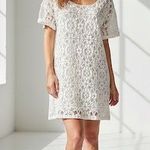 Frame  Embroidered Lace Crochet Cuffed Short Sleeve High Low Mini Shirt Dress Small Off White Ivory Boho Chic Preppy  Photo 0