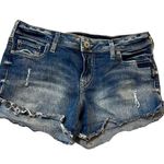 Silver Jeans Womens Silver Berkley Jean Shorts -Cutoff Distressed-  Size: W30 L4 Photo 0
