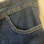 Terra & Sky  denim shorts 1x 16w/18w Photo 1