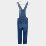 Madewell Skinny Overalls in Jansing Wash Photo 8