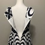 The Limited  A line Pleated Drop Waist Dress With Pockets Photo 5