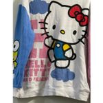 Sanrio Hello Kitty & Friends Sweatshirt XL Hybrid Apparel  2024 Pastel Crewneck Photo 2