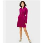 Lilly Pulitzer  Skipper Ruffle Dress Bordeaux Berry Velour Pocket Winter Party XL Photo 5
