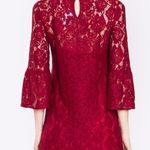 Sugar Lips  Wine Floral Lace Dress Small Photo 5