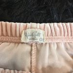 Brandy Melville Rare velvet dolphin shorts Photo 2