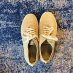 Everlane the Forever Sneaker in Sycamore Photo 6
