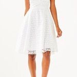 Lilly Pulitzer Women’s WILLA Midi Dress Size 2 Photo 13