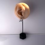 Huggie Bow Silver Hoop Earrings for Women Photo 4