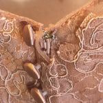 Women’s Pink Lace Appliqué Tulle Wedding Formal Prom Dress Leg Slit Size L NWOT Size L Photo 7