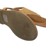 Sonoma ᪥ Laser Cut Vegan Leather Gladiator Thong Flat Sandals ᪥ Butter Yellow 6M Photo 10