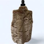 Fabulous Furs Photo 4