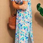 Tuckernuck  Cabana Colette Floral Maxi Dress Size XS guitar butterfly print Photo 0