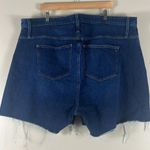 Madewell Curvy High Rise Denim Shorts in Canterdale Wash Photo 5
