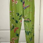 Steven Stolman Floral Butterfly Print Statement Pants Photo 0