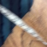 Rebecca Taylor greenâeyelash textured blouse size 4 Photo 8