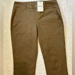 Saint + Sofía Brown Chinos Straight Photo 1