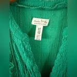 Anthropologie  Meadow Rue Button-Down
Emerald Green Button Down Midi Dress Photo 5