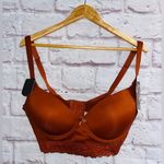 Daisy Fuentes  Full Figure Wire Free Bra NWT Photo 0