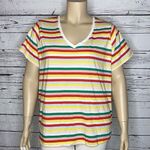 Style & Co Plus NWT Size 3X Rainbow Stripe V-Neckline Essential Knit Top Shirt Photo 0