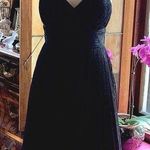 Carmen Marc Valvo  Collection Beautiful Lace & Silk Dress Photo 0