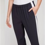 Babaton Aritzia ‎ Dexter Pant Sz 2 Photo 3