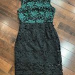 Hutch Anthropologie  sleeveless dress Green Black Lacy size 8 NWT cocktail Formal Photo 5